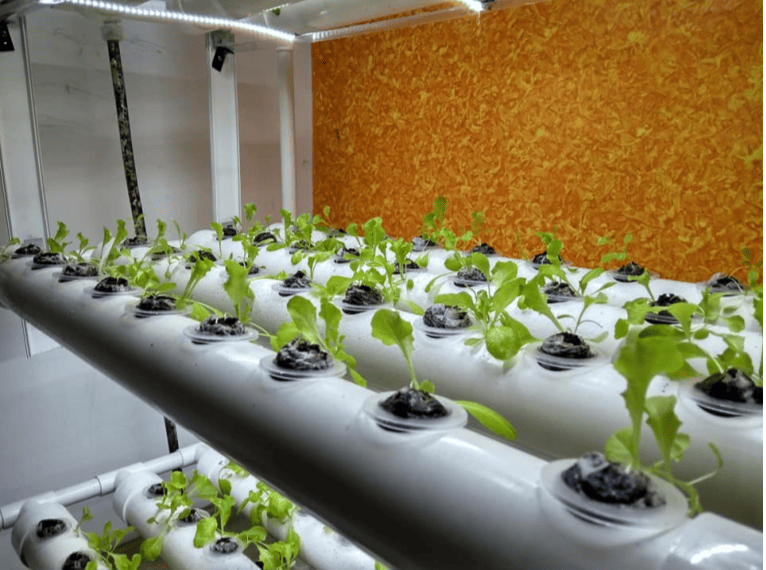 Automated Farming Assistance Module for Hydroponics